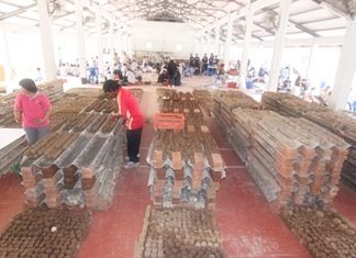 A million microorganism balls are being produced in hopes that they will help at least a little in combating the putrid waters flooding Bangkok.